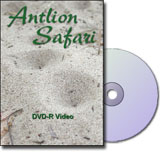 Learn about the Antlion Safari DVD